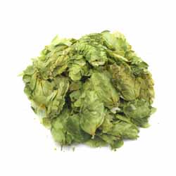 Centennial Leaf Hops