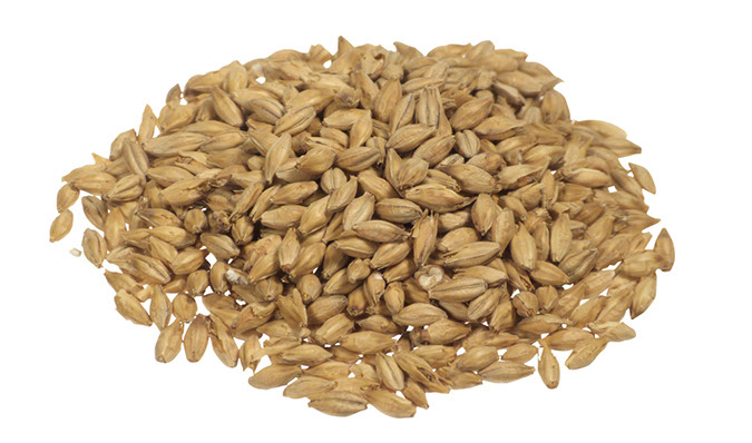 Malting co. of Ireland Distillers 10 lb